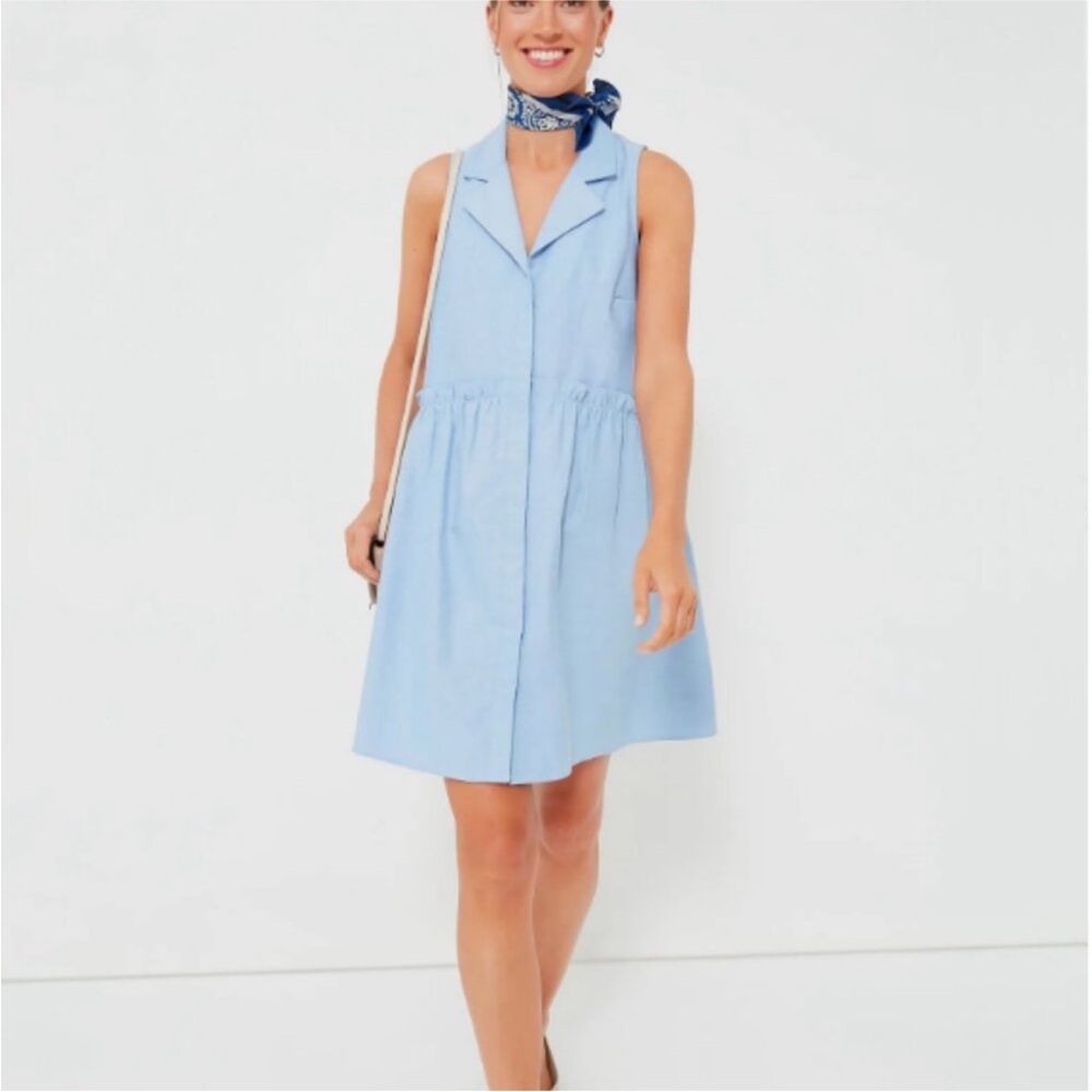 Tuckernuck Blue Oxford Sleeveless NWT Medium